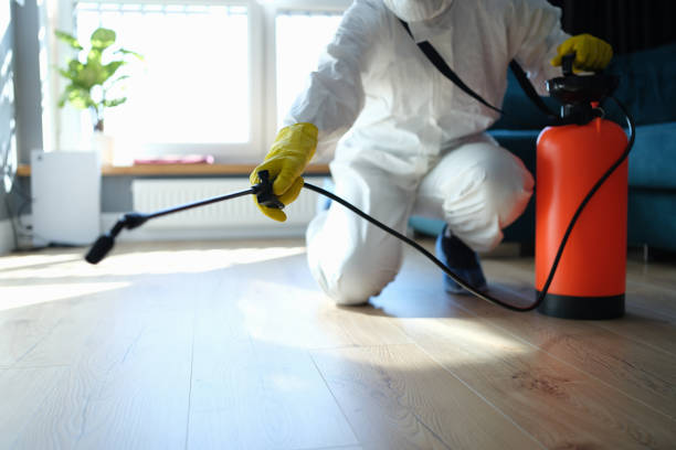 Reliable Biohazard contractor in Pittsburg, TX by Dulley Family Biohazard Services
